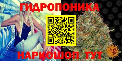 Альфа ПВП Тверь