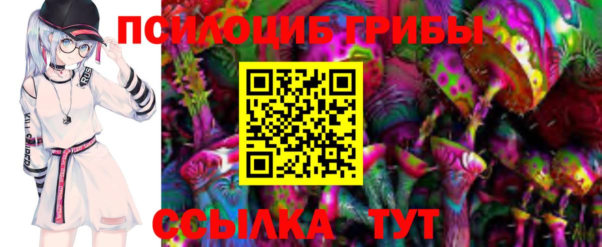 Галлюциногенные грибы MAGIC MUSHROOMS  Вход с VPN  Баксан 